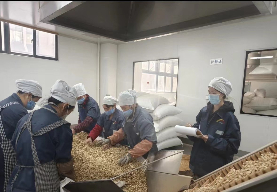 Opisyal na nagsimula ang pagtatayo ng Biohoer Biotech Co, Ltd.