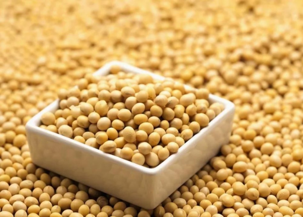 Ano ang mga pakinabang ng toyo isoflavones?