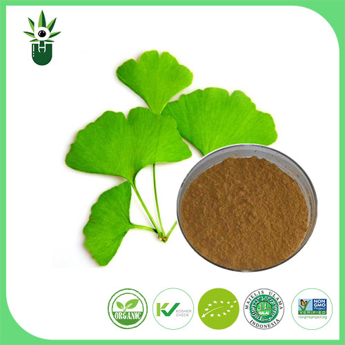 Anong mga sintomas ang maaaring magamit ng ginkgo biloba leaf extract upang maibsan?