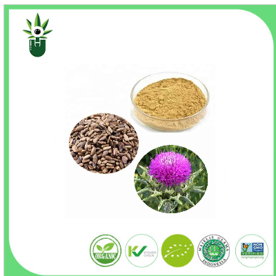 Ano ang napakahalaga ng Milk Thistle Extract para sa kalusugan at nutrisyon?