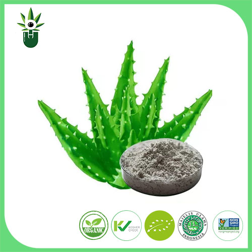 Ekstrak ng Aloe Vera