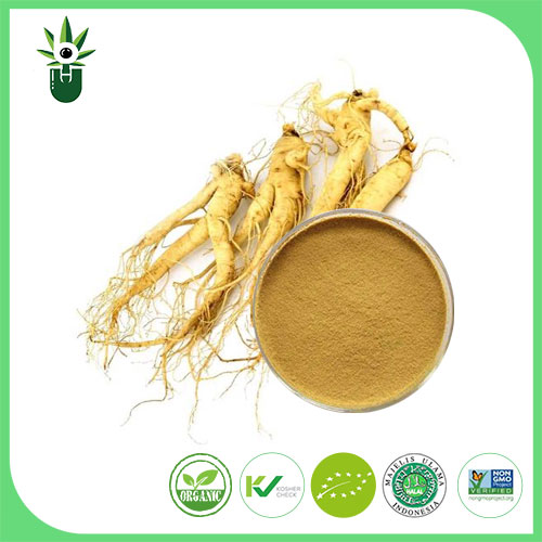 American Ginseng Extract