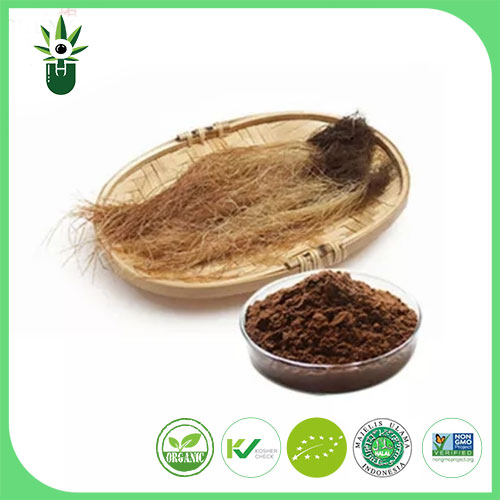Extract ng Corn Silk
