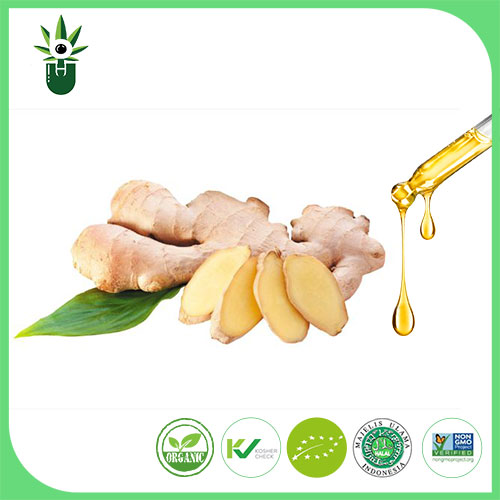 Ginger Extract