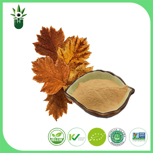 Hawthorn Leaf Extract