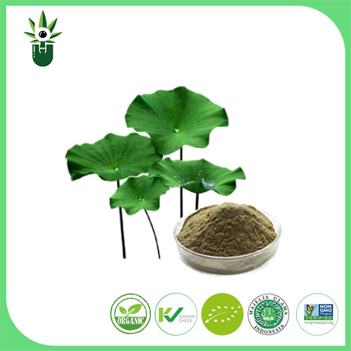 Lotus Leaf Extract