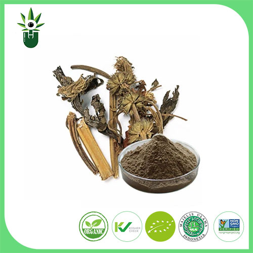 Extract ng Motherwort