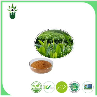 Likas na Green Tea Extract 98% l
