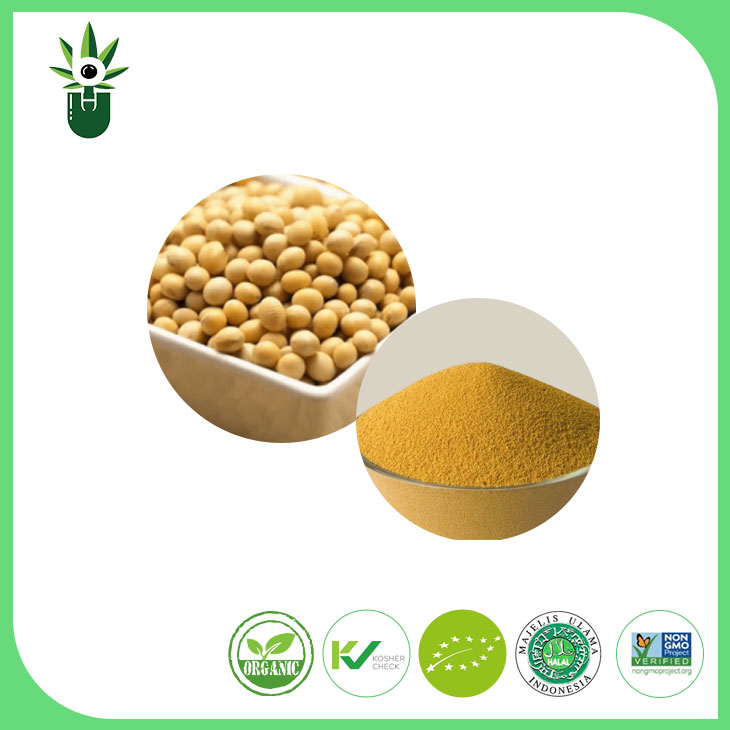 Non-GMO soybean extract pulbos 90% toyo isoflavones