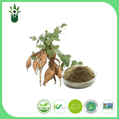 Pueraria Lobata Extract