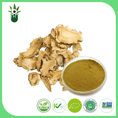 Angelica Biserata Root Extract