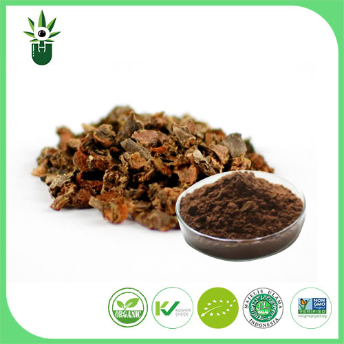 Rhodiola Rosea Extract