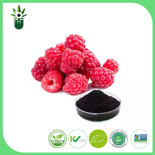 Raspberry Extract