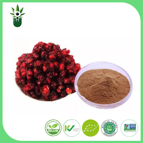 Schisandra Chinensis Extract